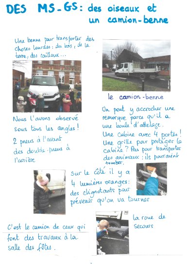 les pigeons 2